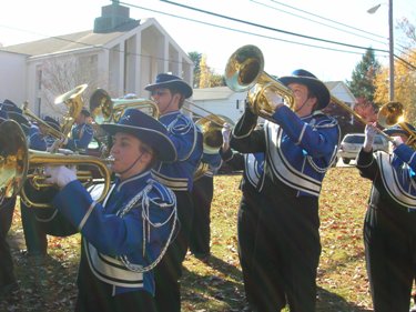 Download Veterans' Day Parade (375Wx281H)